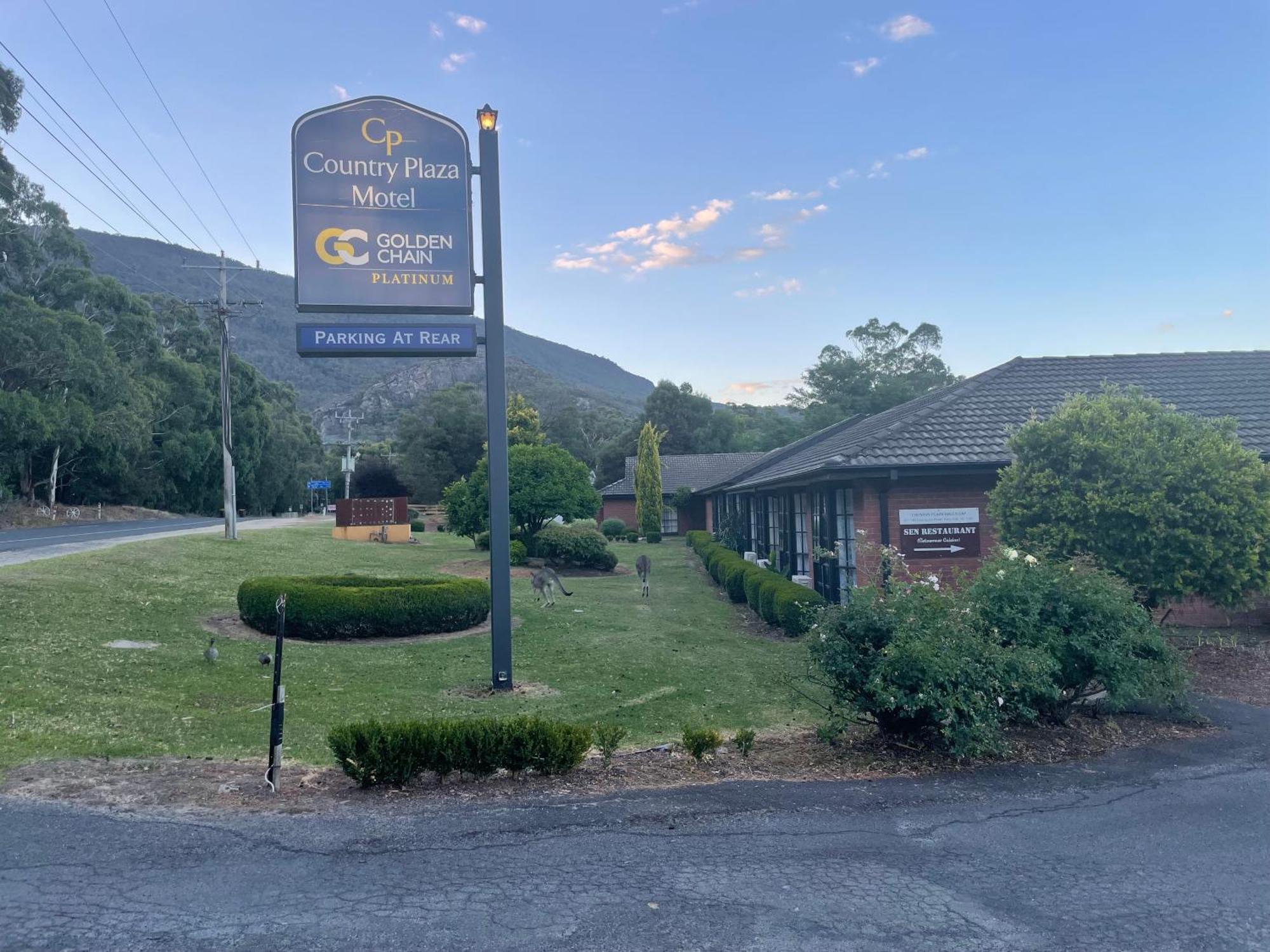 Golden Chain Country Plaza Motel הלס גאפ מראה חיצוני תמונה